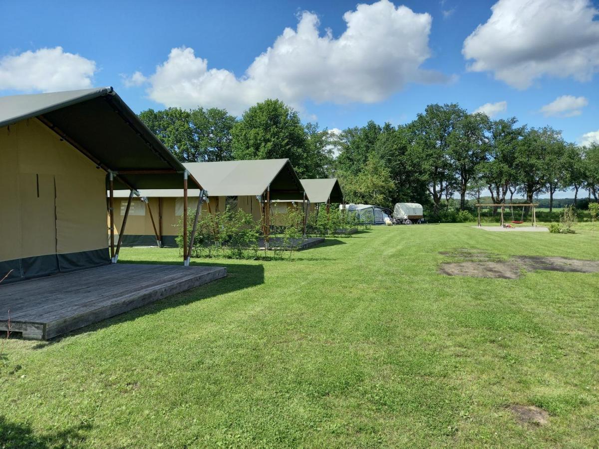 Comfort Safaritent 6 Pers En Mini * Zwiggelte