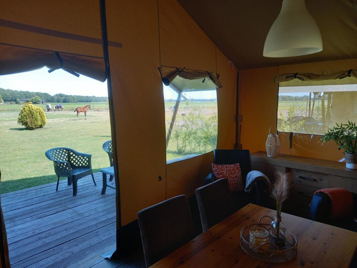 Luxury tent Comfort Safaritent 6 Pers En Mini